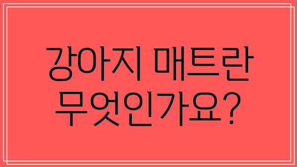 강아지 매트란 무엇인가요?