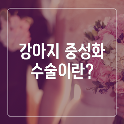 강아지 중성화 수술이란?