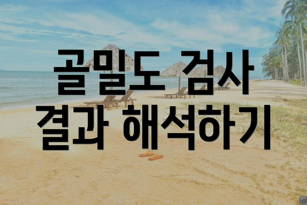 골밀도 검사 결과 해석하기