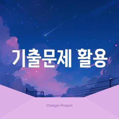 기출문제 활용