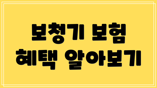 보청기 보험 혜택 알아보기