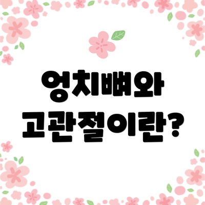 엉치뼈와 고관절이란?