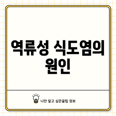 역류성 식도염의 원인