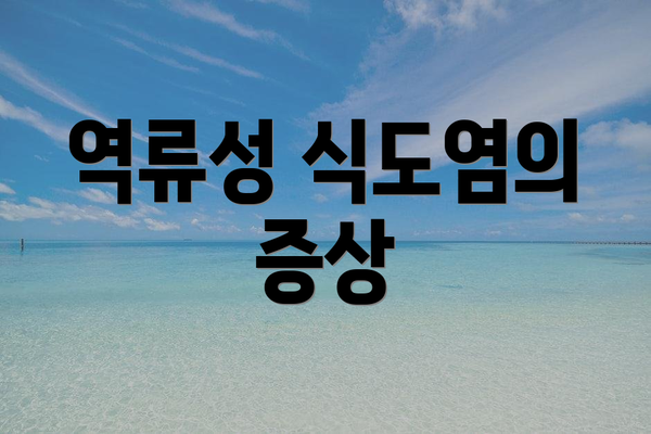역류성 식도염의 증상