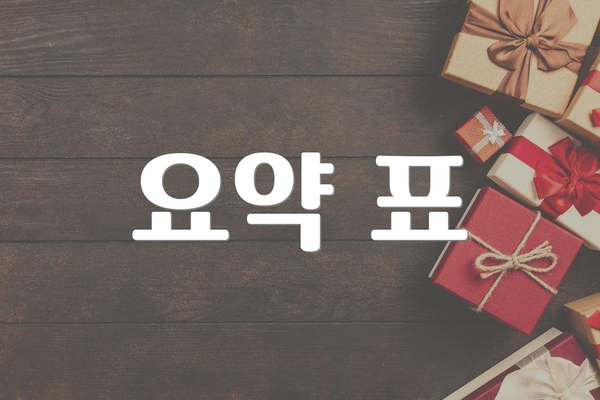요약 표