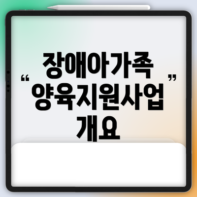 장애아가족 양육지원사업 개요