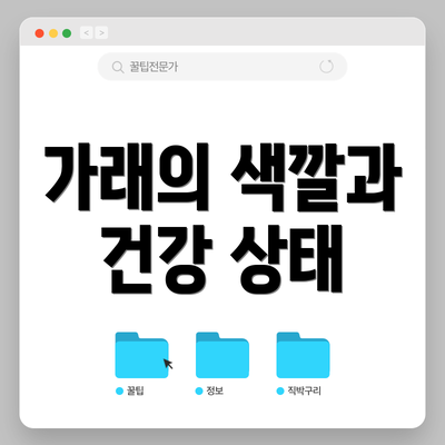 가래의 색깔과 건강 상태
