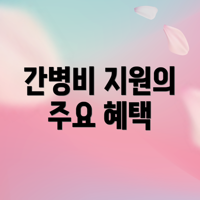 간병비 지원의 주요 혜택