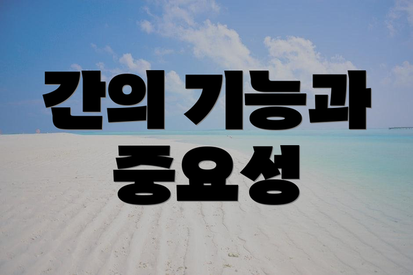 간의 기능과 중요성