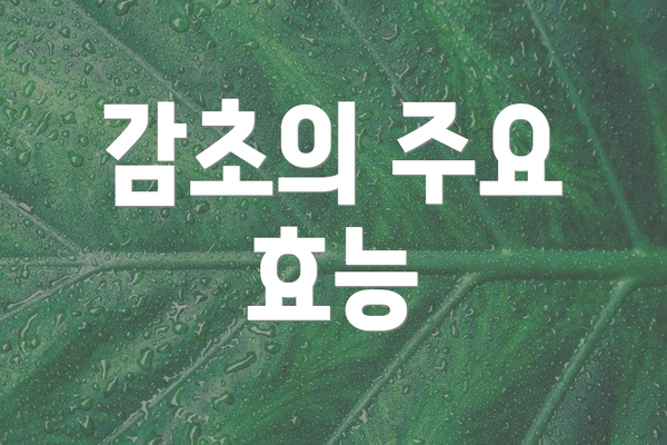 감초의 주요 효능