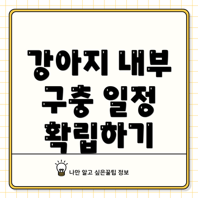 강아지 내부 구충 일정 확립하기