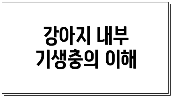 강아지 내부 기생충의 이해