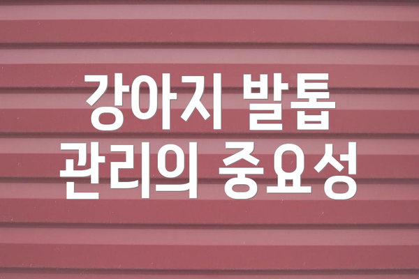 강아지 발톱 관리의 중요성