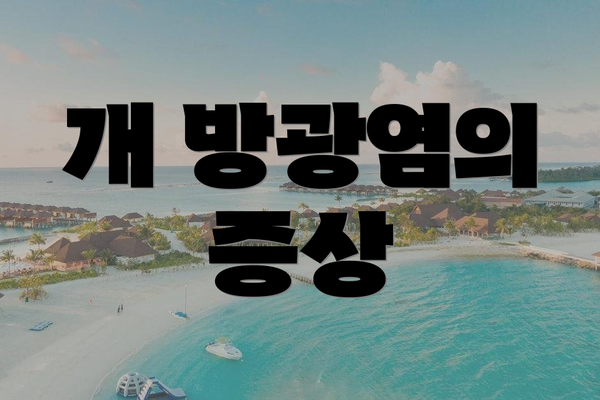 개 방광염의 증상