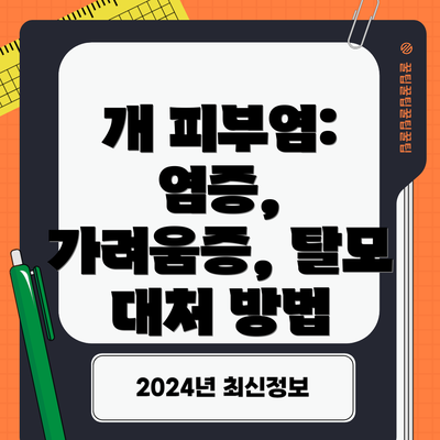 개 피부염: 염증, 가려움증, 탈모 대처 방법