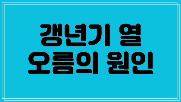 갱년기 열 오름의 원인