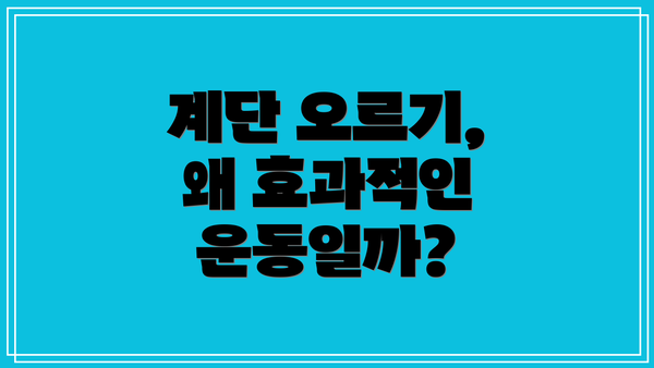 계단 오르기, 왜 효과적인 운동일까?