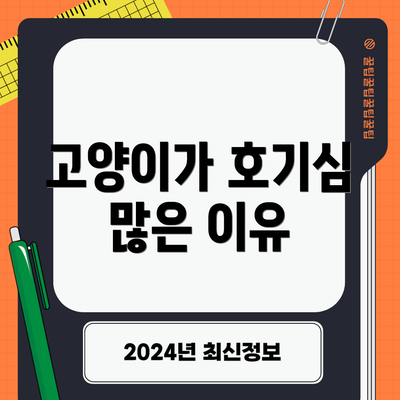고양이가 호기심 많은 이유