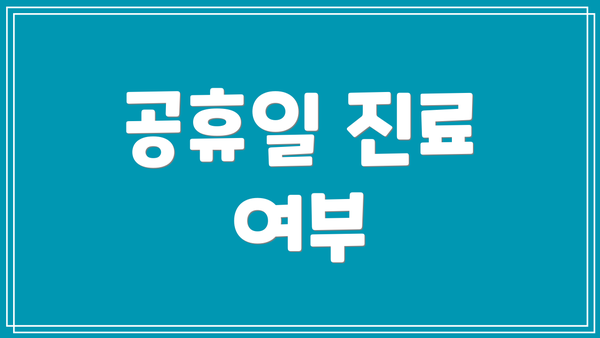 공휴일 진료 여부
