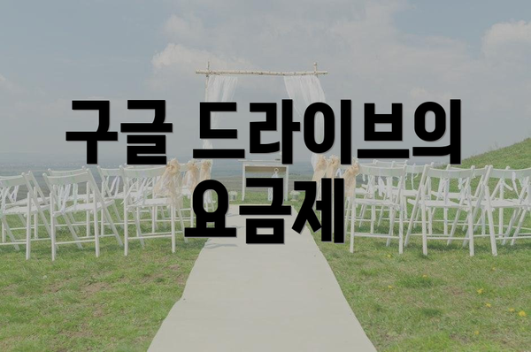 구글 드라이브의 요금제