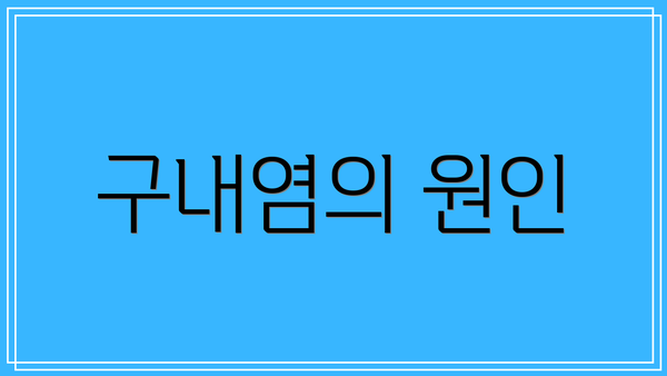 구내염의 원인