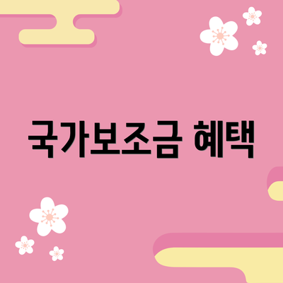 국가보조금 혜택