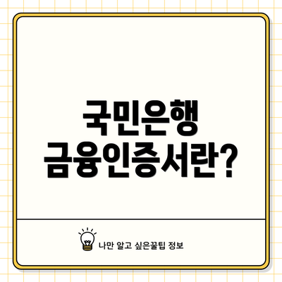 국민은행 금융인증서란?