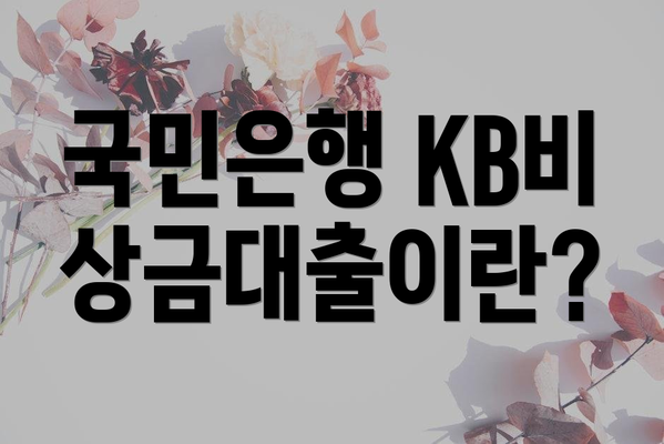 국민은행 KB비상금대출이란?