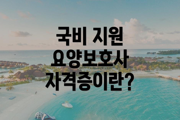 국비 지원 요양보호사 자격증이란?