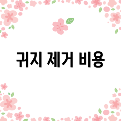 귀지 제거 비용
