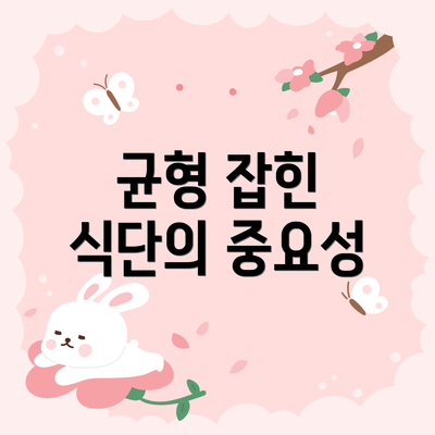 균형 잡힌 식단의 중요성