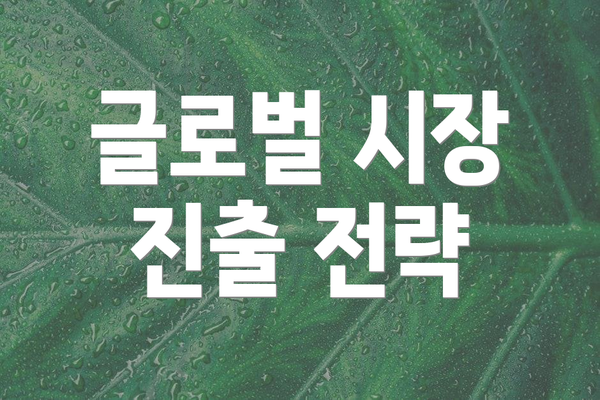 글로벌 시장 진출 전략