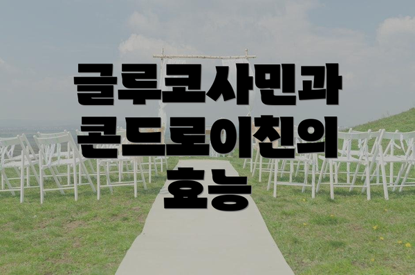 글루코사민과 콘드로이친의 효능