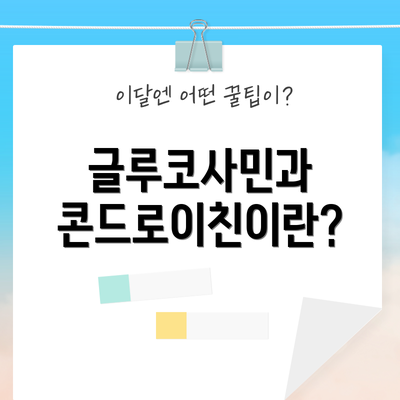 글루코사민과 콘드로이친이란?