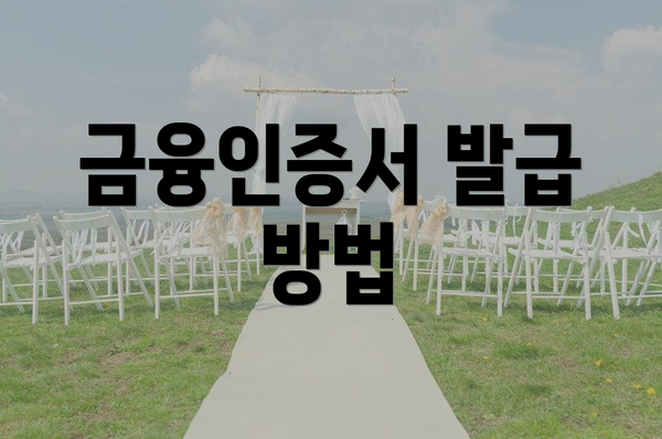 금융인증서 발급 방법