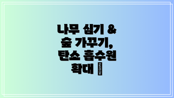나무 심기 & 숲 가꾸기, 탄소 흡수원 확대 🌳