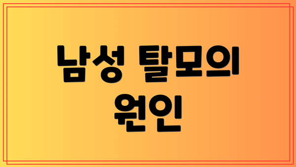 남성 탈모의 원인
