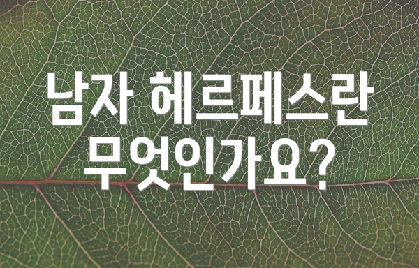 남자 헤르페스란 무엇인가요?