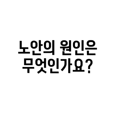 노안의 원인은 무엇인가요?
