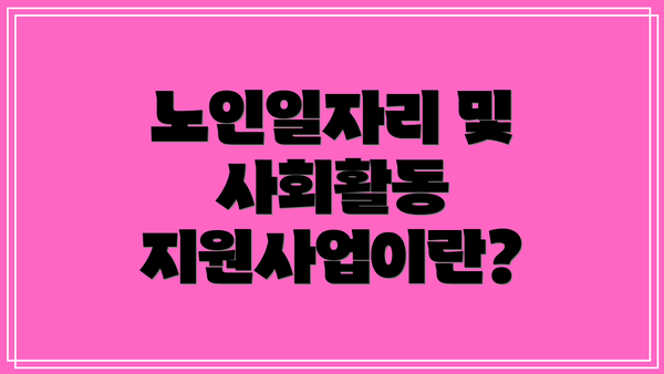 노인일자리 및 사회활동 지원사업이란?