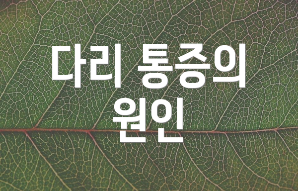 다리 통증의 원인