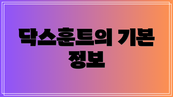 닥스훈트의 기본 정보