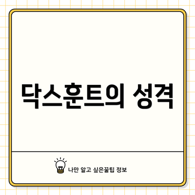 닥스훈트의 성격