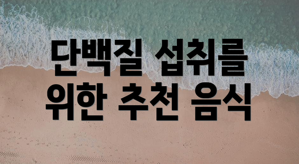 단백질 섭취를 위한 추천 음식