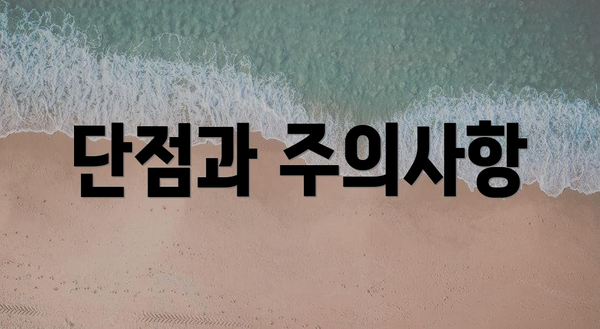 단점과 주의사항