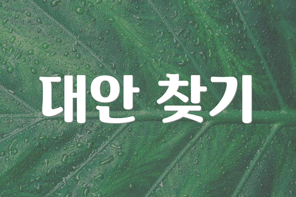 대안 찾기