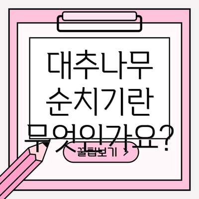 대추나무 순치기란 무엇인가요?