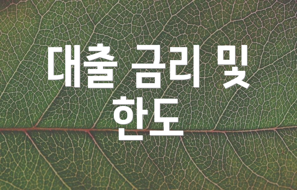 대출 금리 및 한도