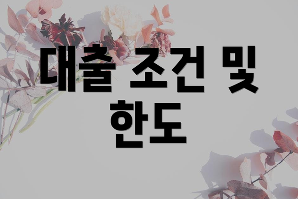 대출 조건 및 한도