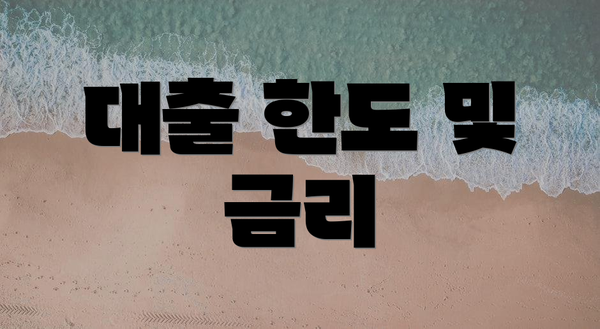 대출 한도 및 금리